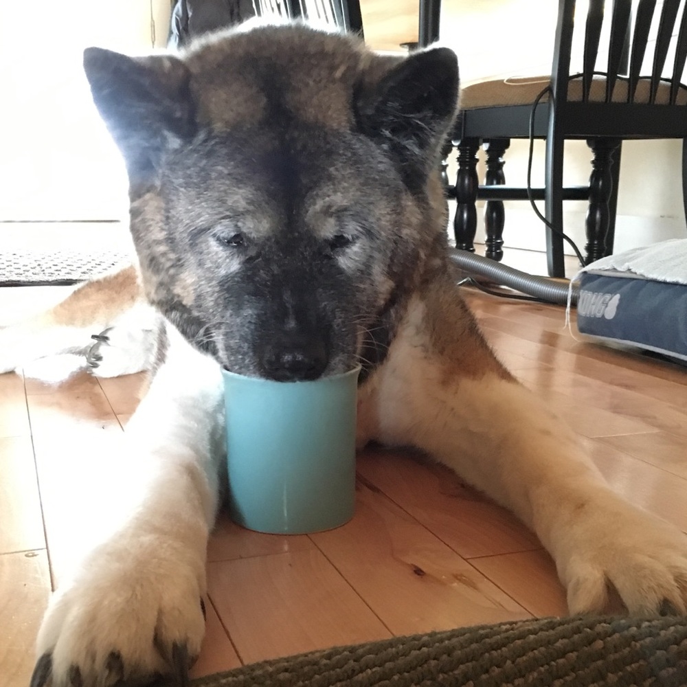 Meet your Posher, Shauna